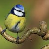 Januar bis März 2016