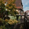 Oktober bis Dezember 2021