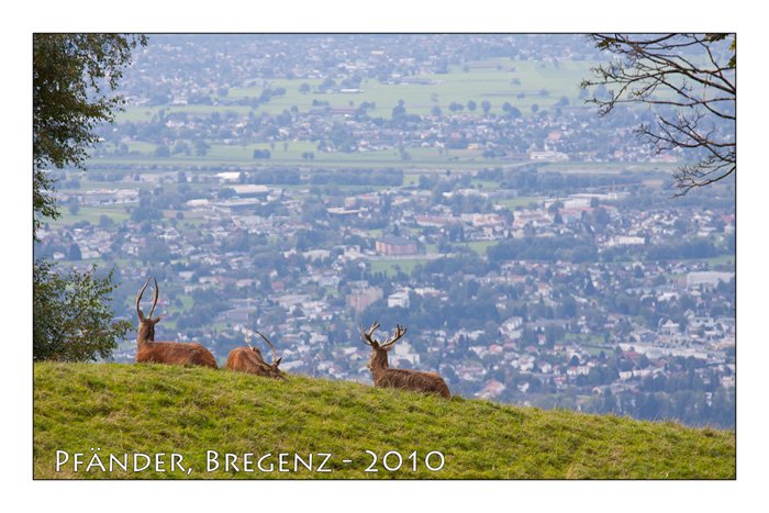 Bodensee