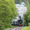 Kuckucksbähnel