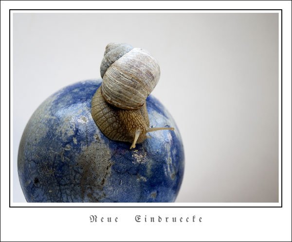 Kuni Grünenwald
