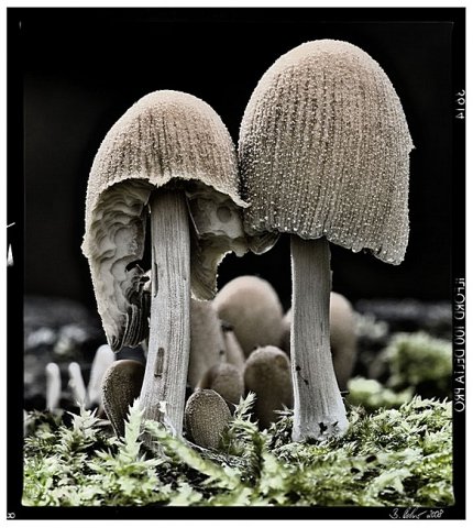 Farbfotografie