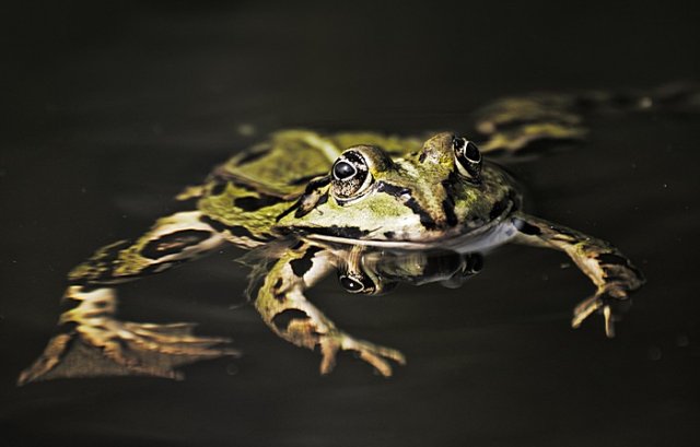 Farbfotografie
