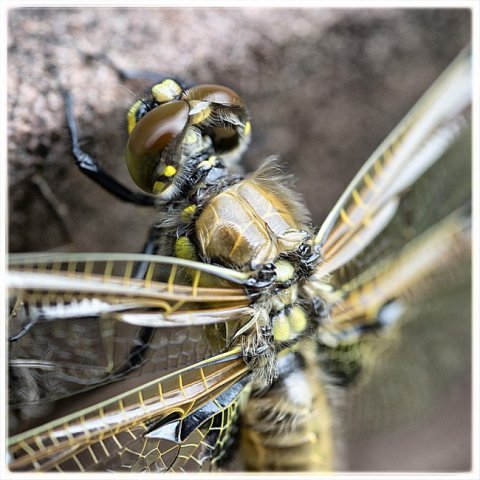 Farbfotografie