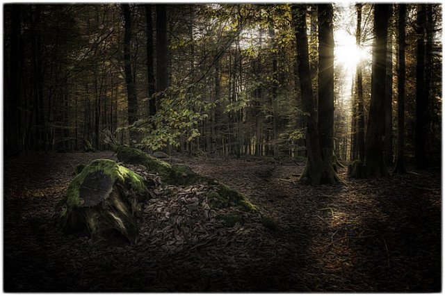 Farbfotografie
