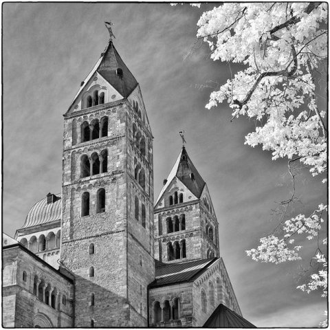 Schwarzweiss