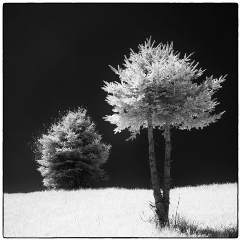 Schwarzweiss