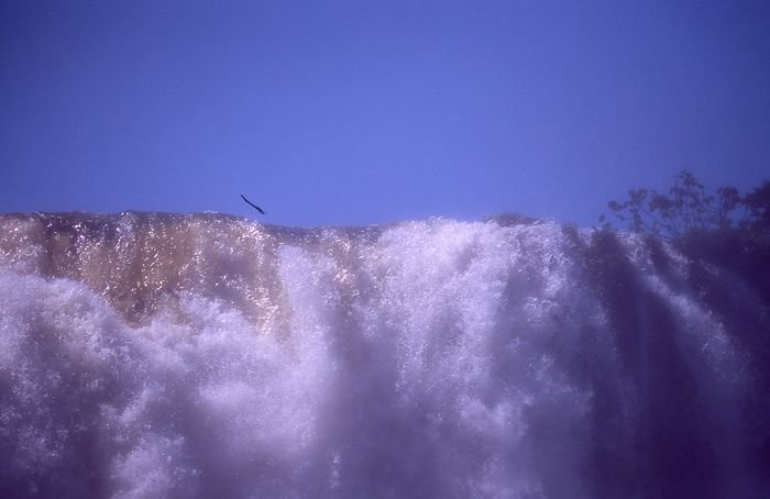 Bernd Wagner - Iguassu Wasserfälle