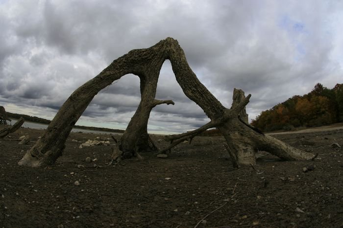 Bernd Wagner - Landschaft