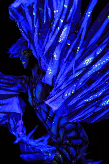 Bernd Wagner - World Bodypainting Award 2012