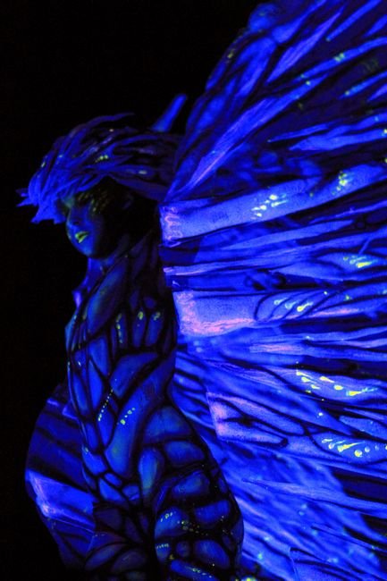 Bernd Wagner - World Bodypainting Award 2012