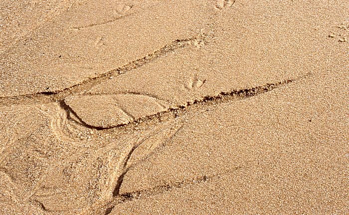 Bernd Wagner - Sylt