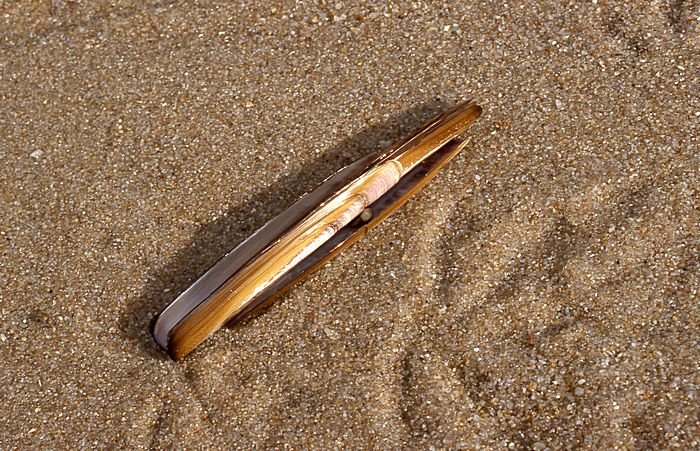 Bernd Wagner - Sylt