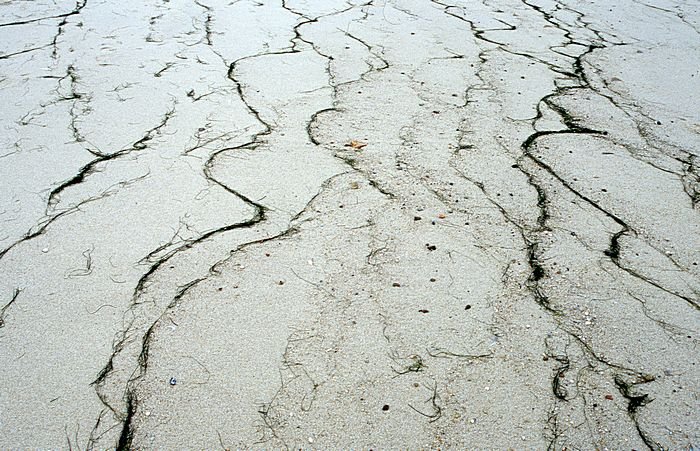 Bernd Wagner - Sylt