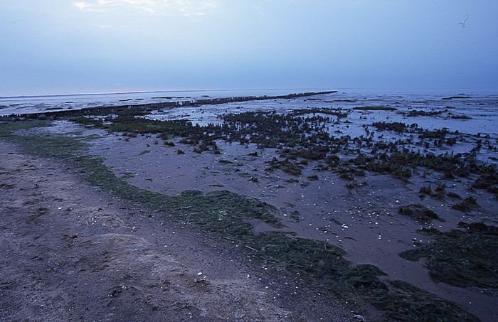 Bernd Wagner - Sylt