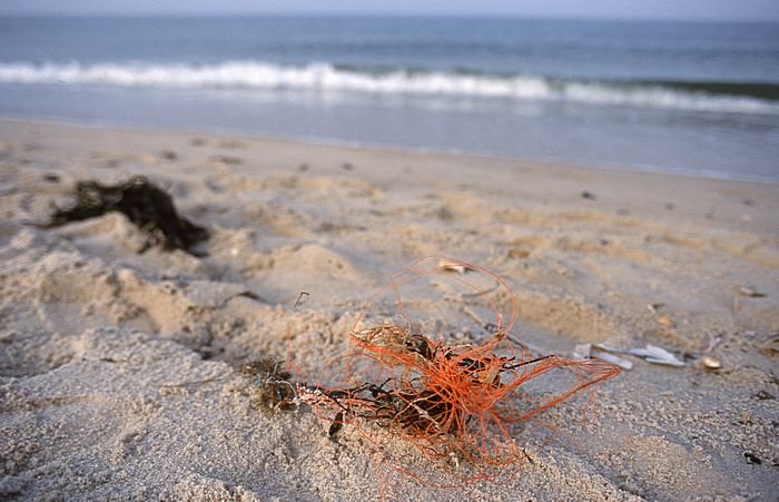Bernd Wagner - Sylt