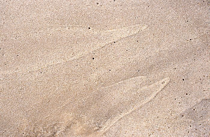Bernd Wagner - Sylt