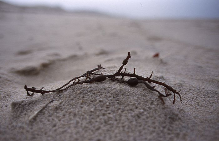 Bernd Wagner - Sylt