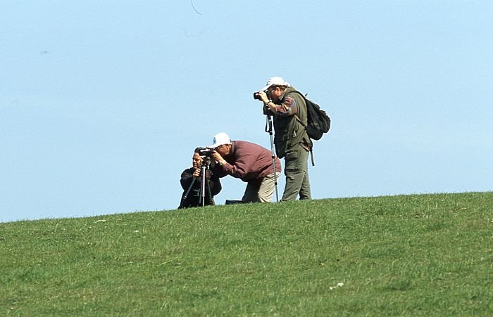 Bernd Wagner - Sylt