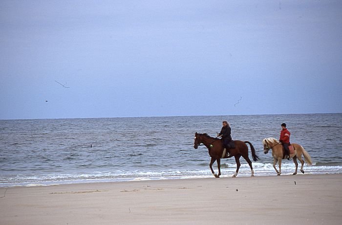 Bernd Wagner - Sylt