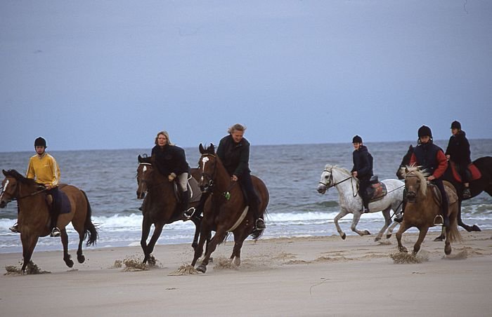 Bernd Wagner - Sylt