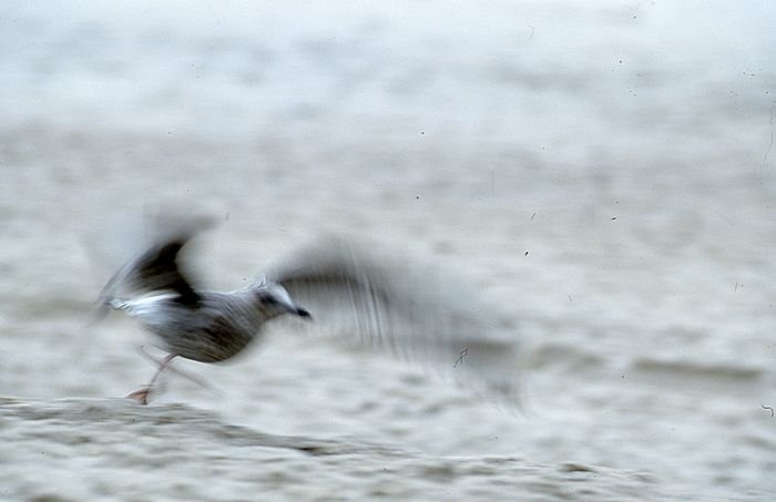 Bernd Wagner - Sylt