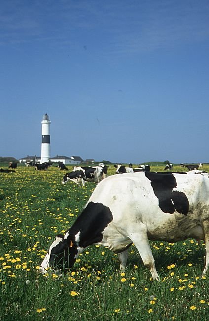 Bernd Wagner - Sylt