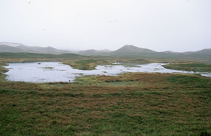 Bernd Wagner - Sylt